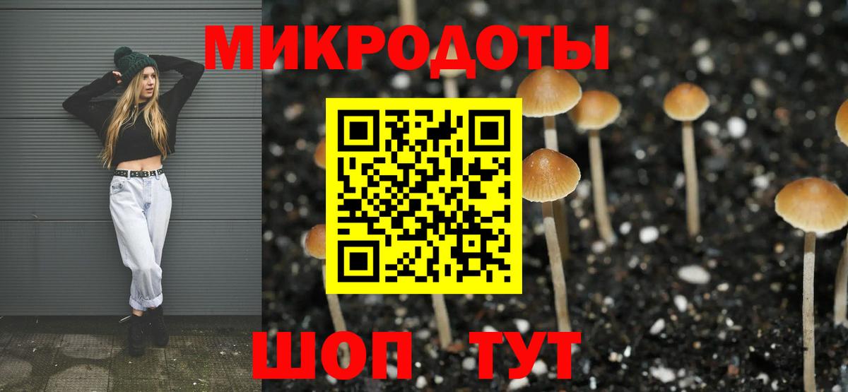 Галлюциногенные грибы ЛСД Кыштым
